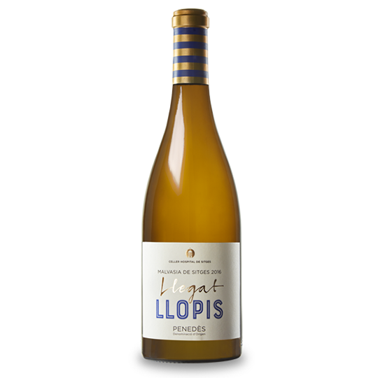 LLEGAT LLOPIS 2023