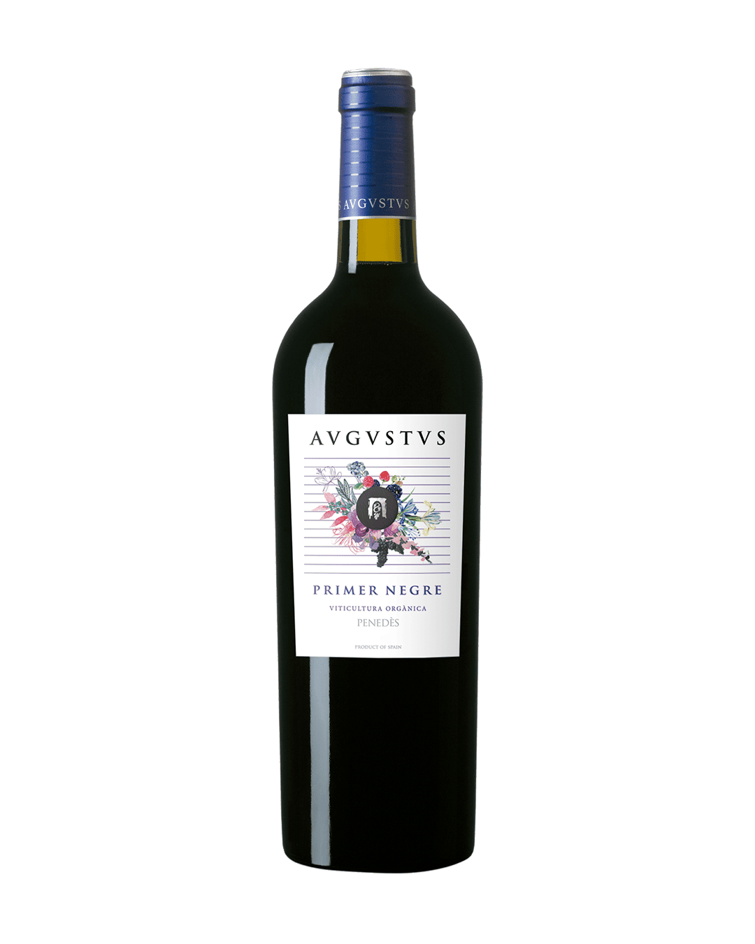 AVGVSTVS Primer Negre 2022